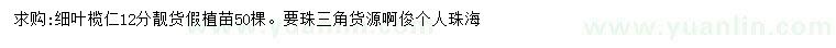 求購12公分細葉欖仁