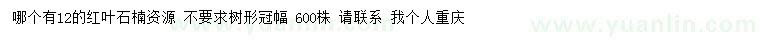 求購12公分紅葉石楠