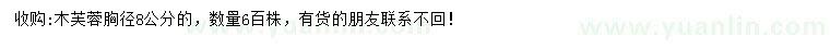 求購胸徑8公分木芙蓉