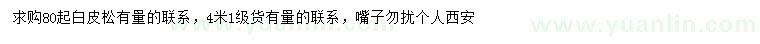 求購80公分以上白皮松