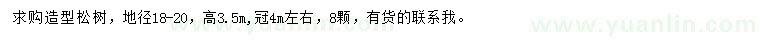 求購地徑18-20公分造型松樹