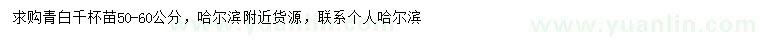 求購50-60公分青白千