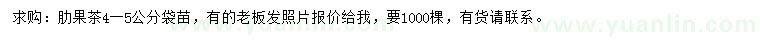 求購4-5公分肋果茶