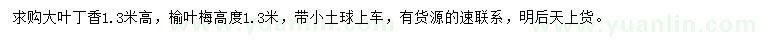 求購(gòu)高1.3米大葉丁香、榆葉梅
