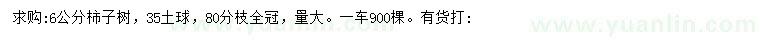求購6公分柿子樹(shù)