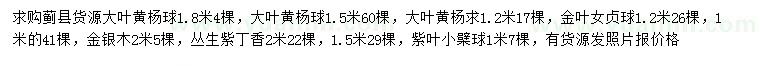 求購大葉黃楊球、金葉女貞球、金銀木等