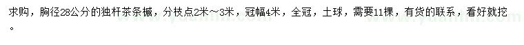 求購(gòu)胸徑28公分茶條槭
