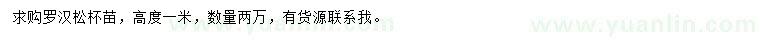 求購高1米羅漢松