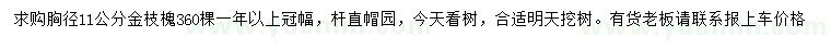 求購胸徑11公分金枝槐