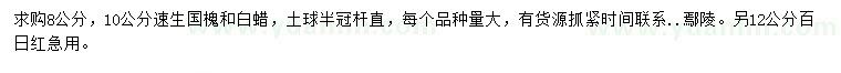 求購速生國槐、白蠟、百日紅