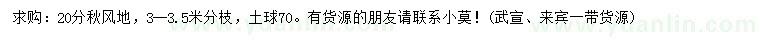 求購20公分秋楓