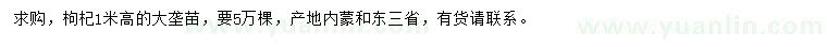 求購高1米枸杞