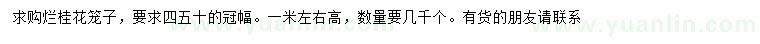 求購高1米左右桂花