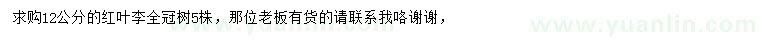 求購(gòu)12公分紅葉李