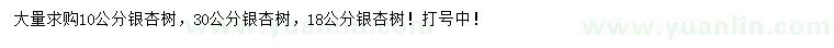 求購(gòu)10、18、30公分銀杏
