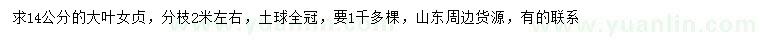 求購14公分大葉女貞