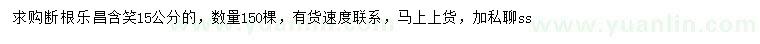 求購15公分樂昌含笑