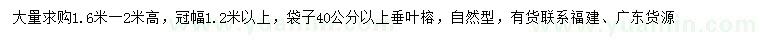 求購高1.6-2米垂葉榕