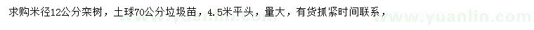 求購米徑12公分欒樹