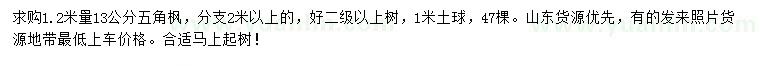 求購1.2米量13公分五角楓