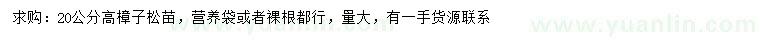 求購(gòu)高20公分樟子松