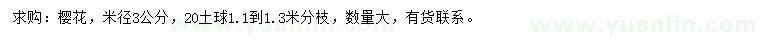 求購米徑3公分櫻花