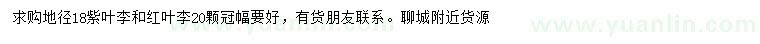 求購地徑18公分紫葉李、紅葉李