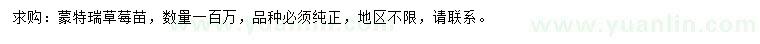 求購(gòu)蒙特瑞草莓