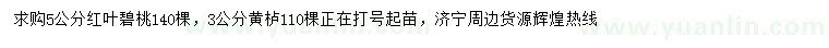 求購(gòu)5公分紅葉碧桃、3公分黃櫨