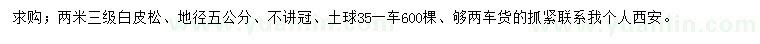 求購地徑5公分白皮松