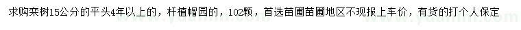 求購15公分欒樹