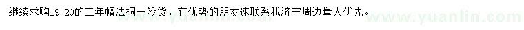 求購19-20公分法桐