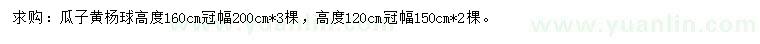 求購冠幅150、200公分瓜子黃楊球