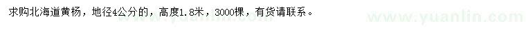求購地徑4公分北海道黃楊