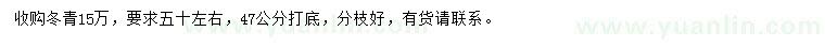 求購50公分冬青