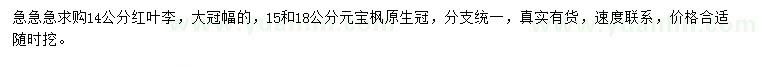 求購14公分紅葉李、15、18公分元寶楓