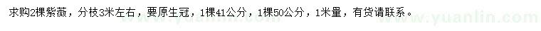 求購1米量41、50公分紫薇