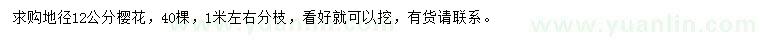 求購(gòu)地徑12公分櫻花