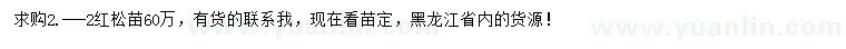 求購紅松苗