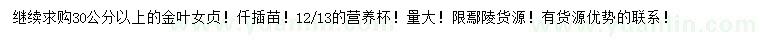 求購30公分以上金葉女貞