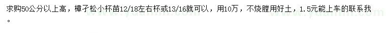 求購高50公分以上樟子松