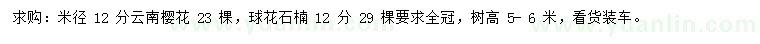 求購米徑12公分云南櫻花、球花石楠