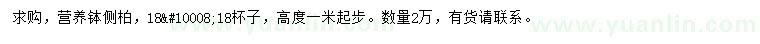 求購高1米以上側(cè)柏