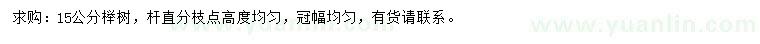 求購15公分櫸樹