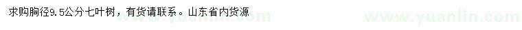 求購胸徑9.5公分七葉樹