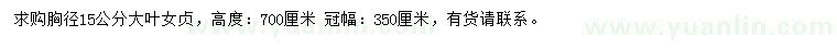 求購胸徑15公分大葉女貞