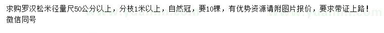 求購米徑50公分以上羅漢松
