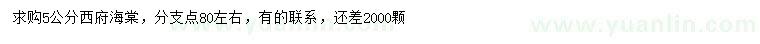 求購5公分西府海棠