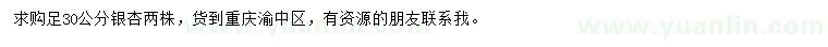 求購30公分銀杏