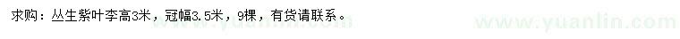 求購冠幅3.5米叢生紫葉李